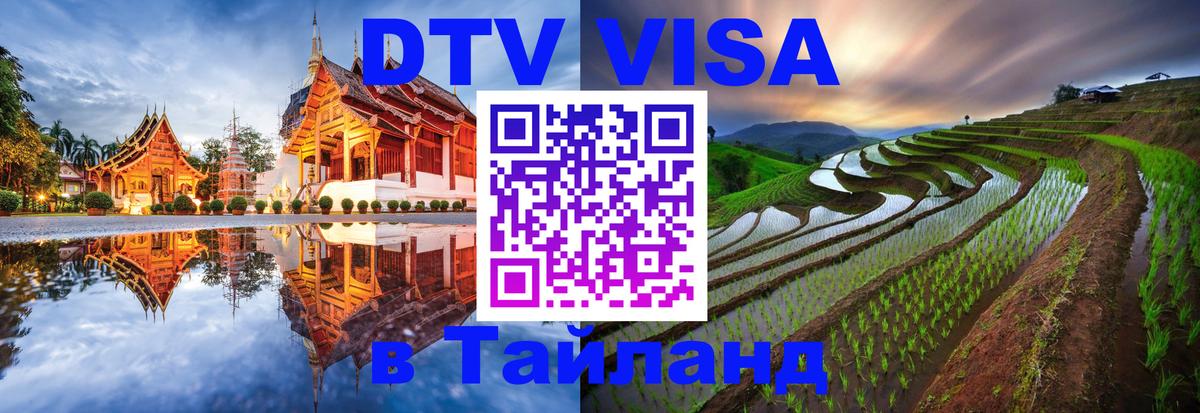 Сколько стоит DTV виза — актуальные цены, оформление даже без документов - 19.11.2025 